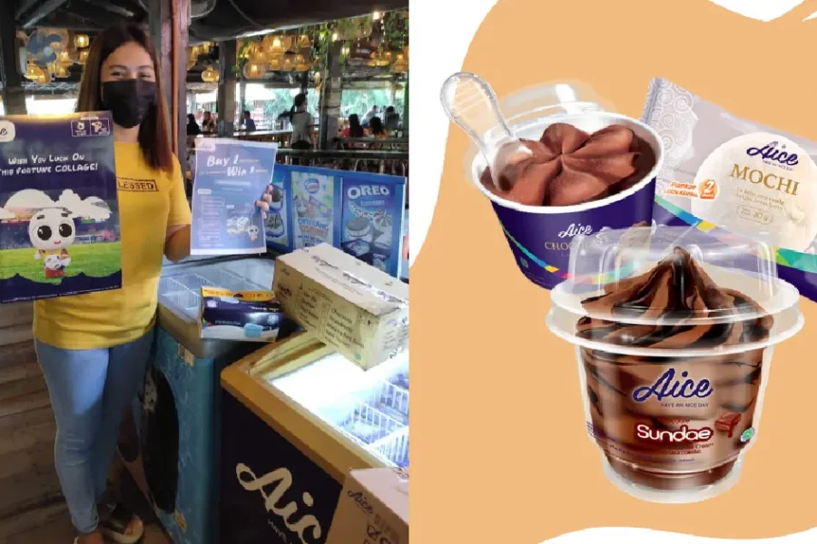 Top 7 Ice Cream Brands in the Philippines for Resellers